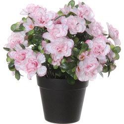 Azalea Kunstbloemen - in pot - wit/roze - H28 cm - Kunstplanten