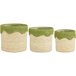 Mica Decorations Mand Fugo - 20x20x20 cm - Zeegras - Groen - Set van 3