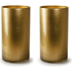 2x Stuks Bloemenvazen - cilinder model glas - metallic goud - H30 x D15 cm - Vazen