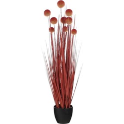 Mica Decorations Kunstplant Pom pon grass - 20x20x90 cm - PVC - Donker Rood