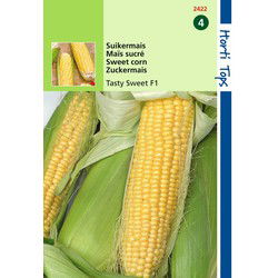 2 stuks - 
