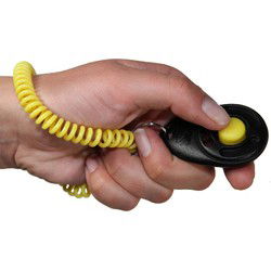 STARMARK CLICKER DE LUXE VOOR TRAINING 6X4 CM