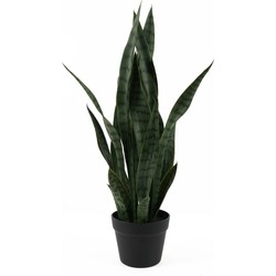 Kunstplant Sansevieria - Groen - 30x30x66cm