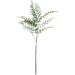 Varenblad lichtgroen 91 cm