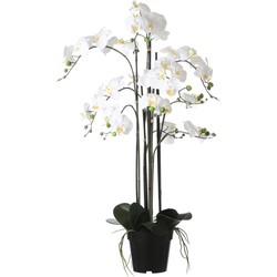 Mica Decorations Orchidee bloem kunstplant - parel wit - H97 x B19 cm - Kunstplanten