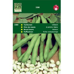 5 stuks - Saatgut Saubohnen Weißsprossen 100g - Tuinplus