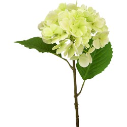 Kunst Hortensia Deluxe 55 cm groen | NeverLeafs