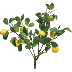 Bellatio Design Kunstbloem citrusfruit tak citroen - 60 cm - geel - Kunstbloemen