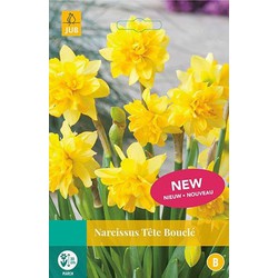 5 stuks - Narcissus Tete Boucle 4 bollen