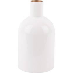 Vase Ivy Bottle Straight