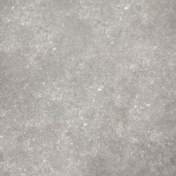 Cesano Grey Grijs keramische tegels 60 x 60 x 3 cm