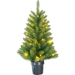 Black Box Trees Riverton Kunstkerstboom in Pot met LED Verlichting - H90 x Ø58 cm - Groen