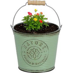 Sunnydays Emmer/plantenpot - zink - jadegroen - D23 x H22 cm - IJzeren emmer / teil