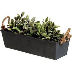 Mega Collections plantenbak/bloembak zink - zwart - L50 x D17 X H16 cm - IJzeren emmer / teil
