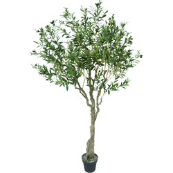 Greenmoods Olijfboom  - Olea europaea - Nep plant - 1 Stuk - 200cm - Groen -