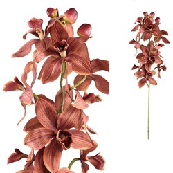 PTMD Kunstbloem Orchid - 38x16x92 cm - Polyester - Bruin