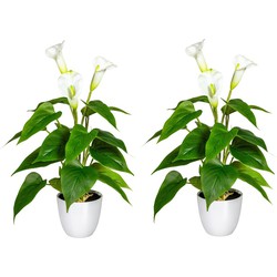 Kopu® 2 stuks Calla Kunstplant 44 cm - Zantedeschia Bekerplant Wit