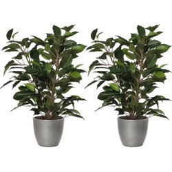 2x stuks groene ficus kunstplant 40 cm met plantenpot zilver metallic D13.5 en H12.5 cm - Kunstplanten