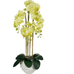 Mica Decorations Kunstplant Phalaenopsis - 40x34x82 cm - Polyester - Groen