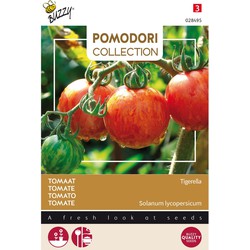 3 stuks - Pomodori tigerella - Buzzy