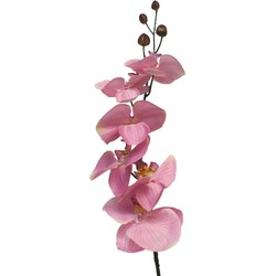 Bellatio Design Kunstbloem Orchidee Milan - roze - 78 cm - losse steel - Kunstbloemen