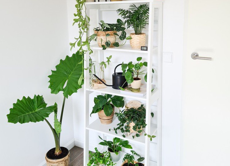 Een plantenkast of -tafel in je interieur