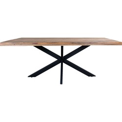 Eettafel Rabel 260 cm - Spinpoot