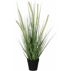 Groene Dogtail siergras kunstplanten H53 x D30 cm met zwarte pot - Kunstplanten