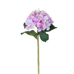 Tige d'Hydrangea - Rose pâle / 26 cm