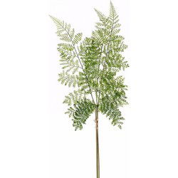 Kunstplant bosvaren tak - 58 cm - groen - kunststof decoratie - Kunstbloemen
