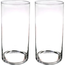 Bellatio Decorations Bloemenvaas basic - Set van 2x stuks - glas - H60 x D19 cm - Vazen