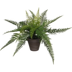 Mica Decorations Varen Kunstplant in Bloempot Stan - H38 x Ø50 cm - Groen