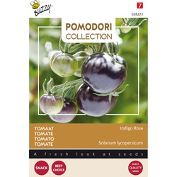 Pomodori Indigo rose (zwart) - Buzzy