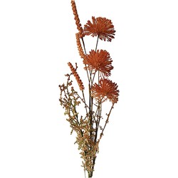 Allium 60cm rotbraun künstliche Blume Seide Fake - Buitengewoon de Boet