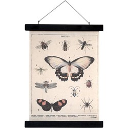 HKliving schoolplaat insecten geprint katoen M 30x40x2,5cm