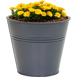 Mega Collections plantenpot/bloempot Bob - zink - antraciet - D15 X H13 cm - IJzeren emmer / teil