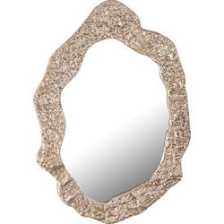 PTMD Spiegel Morina - 88x61x3 cm - Aluminium - Chamagne