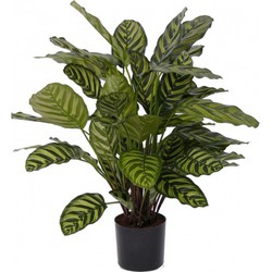 Kunstplant Calathea Makoyana - voor binnen - kunst kamerplant - 67 cm - Kunstplanten