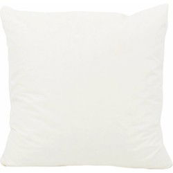 Binnenkussen | 50 x 50 cm | 900 gram | Traagschuim/ Memory Foam