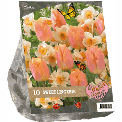 2 stuks - Urban Flowers Sweet lingery per 10