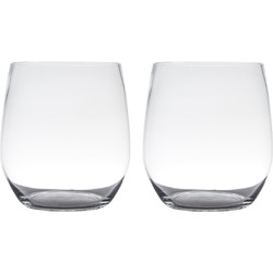 Set van 2x stuks transparante home-basics vaas/vazen van glas 19 x 15 cm Tony - Vazen