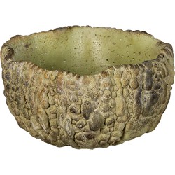 Clayre & Eef Bloempot  17x16x9 cm Groen Steen Rond Bloempot binnen