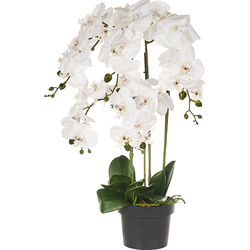 Beliani ORCHID - Kunstplant-Groen-Synthetisch materiaal