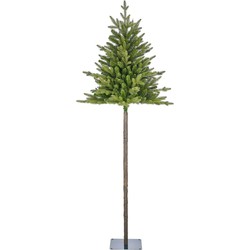 Torrey x-mas tree green TIPS 420 - h185xd84cm