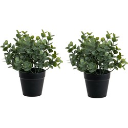 Eucalyptus Kunstplant - 2 stuks - in pot - groen - H20 cm - Kunstplanten