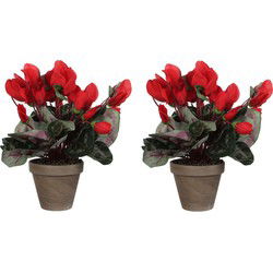 Mica Decorations Kunstplant - 2x - cyclaam - rood - in pot - 30 cm - Kunstplanten
