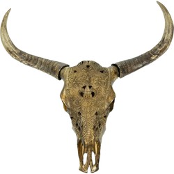 Buffel schedel - 71 cm