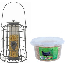 Vogel voedersilo voor kleine vogels metaal grijs 36 cm inclusief 4-seizoenen mueslimix vogelvoer - Vogel voedersilo