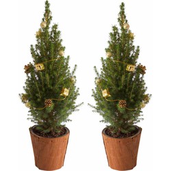 Mini Kerstboom - 2 stuks - 65cm