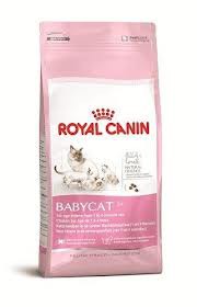 Kattenvoer Droogvoer kat moeder en babycat 2 kg - Royal Canin - 